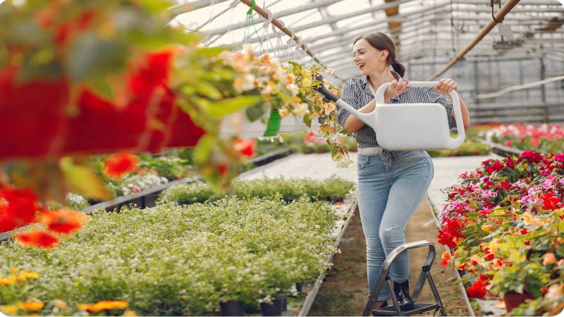 Can You Really Build Your Own Greenhouse for Under £500?