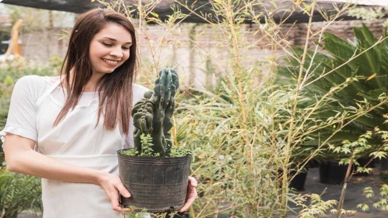 Enhance Your Garden with Stylish Large Outdoor Pots from Wentworth Falls Pots
